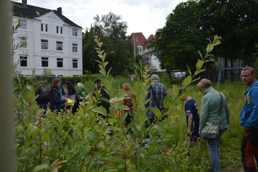 Menschen auf einer Wiese